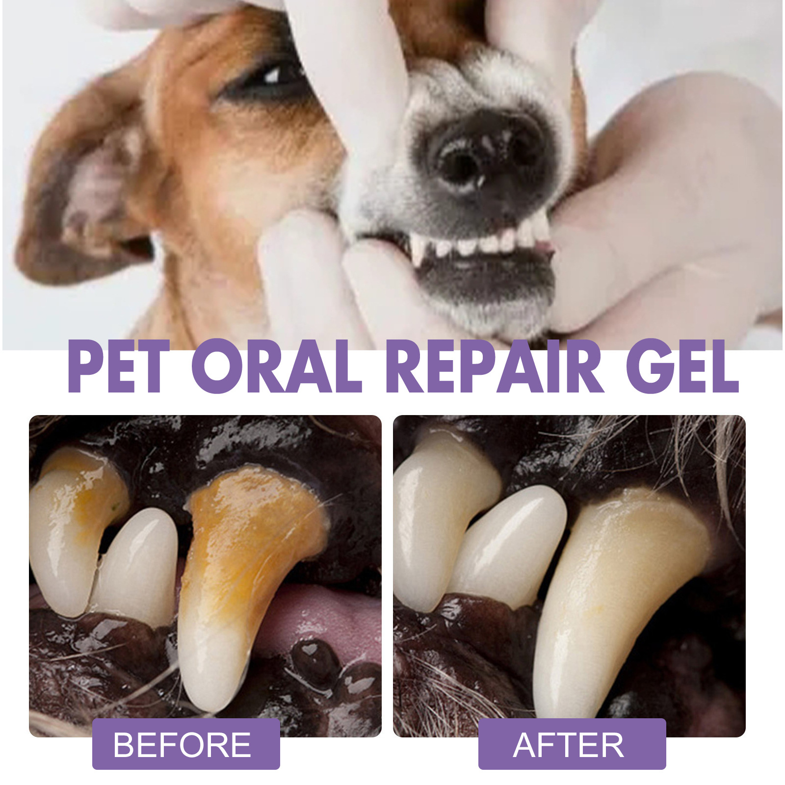 Gel perbaikan mulut hewan peli - Teeth Whitening Near Me ulasan dan harga