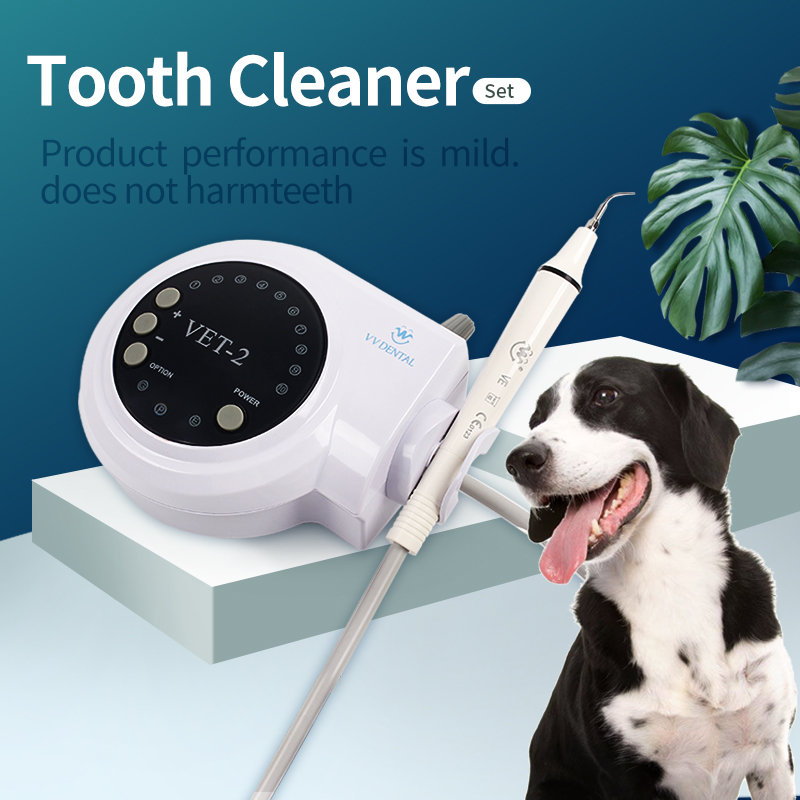 Scaler Ultrasonik Gigi Hewan P - Teeth Whitening Tips ulasan dan harga